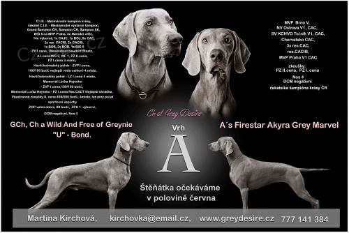 �t���tka VOK